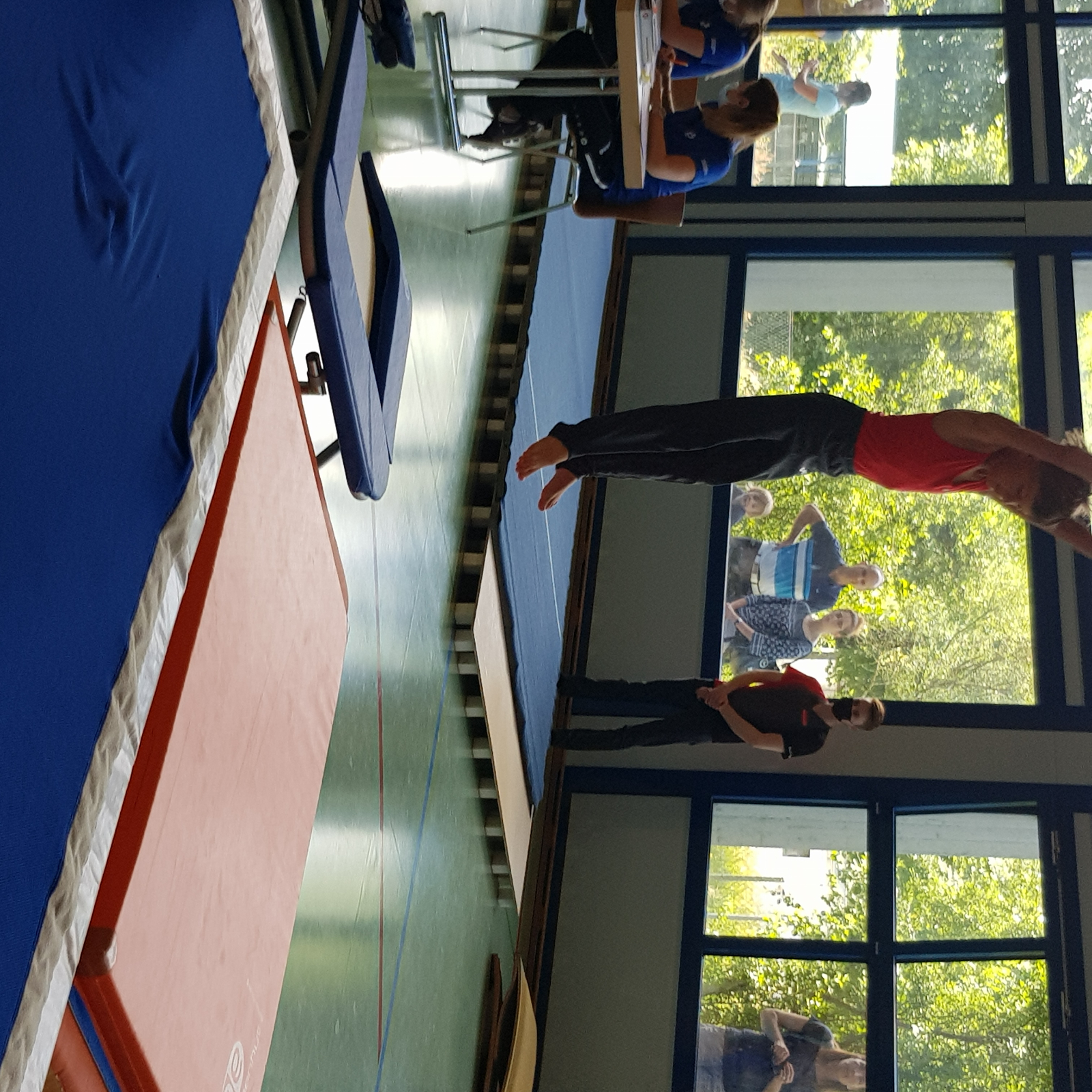 Bild  (43)